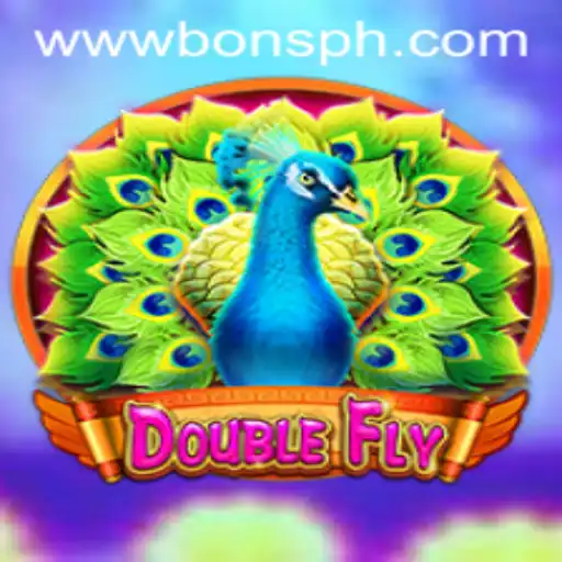 DoubleFly: A Thrilling Adventure in the Virtual Skies